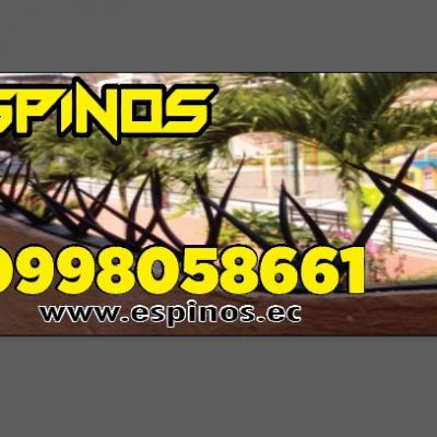 Img 20241014 Wa0037